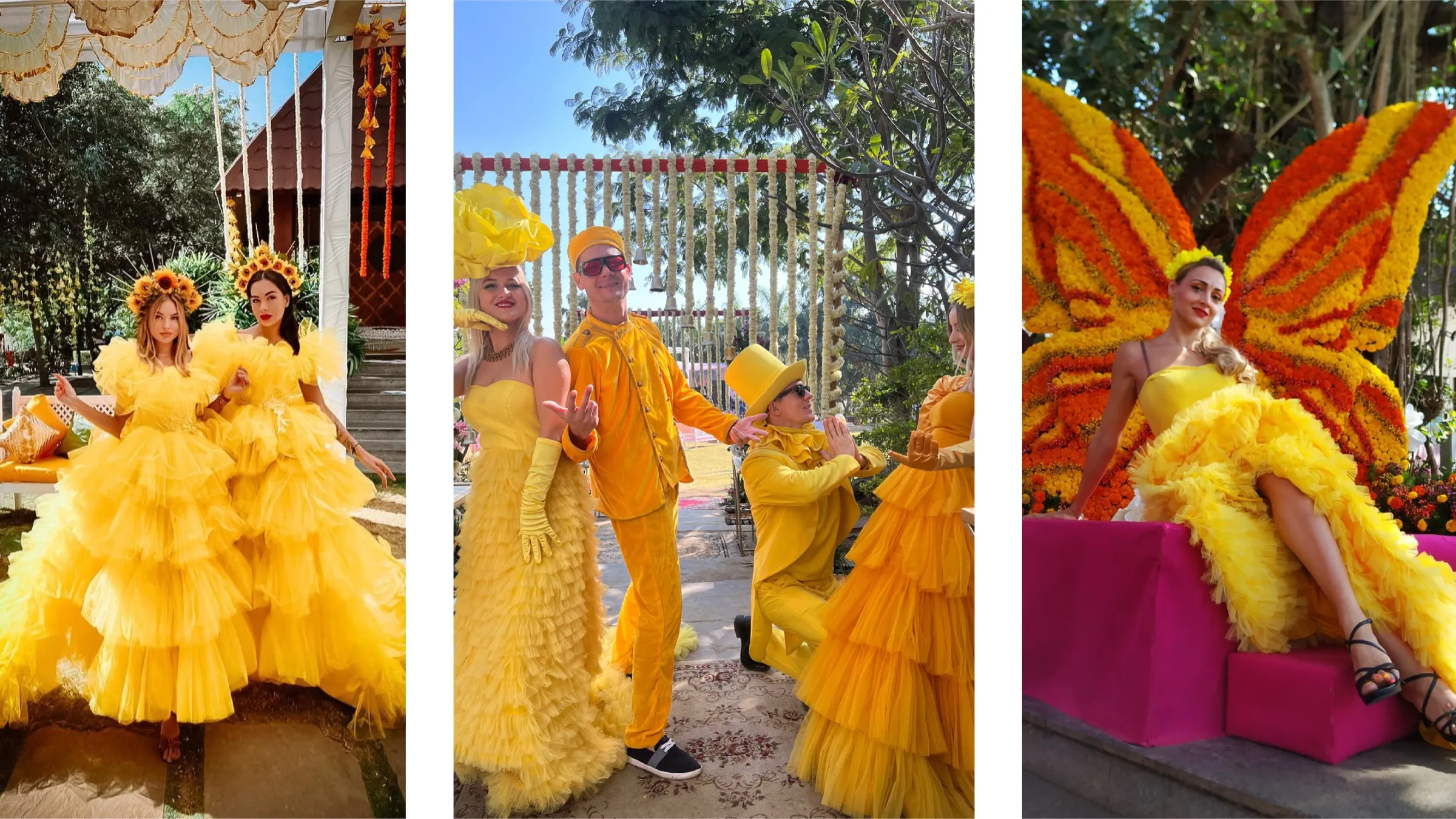 Haldi Themes — photo 3
