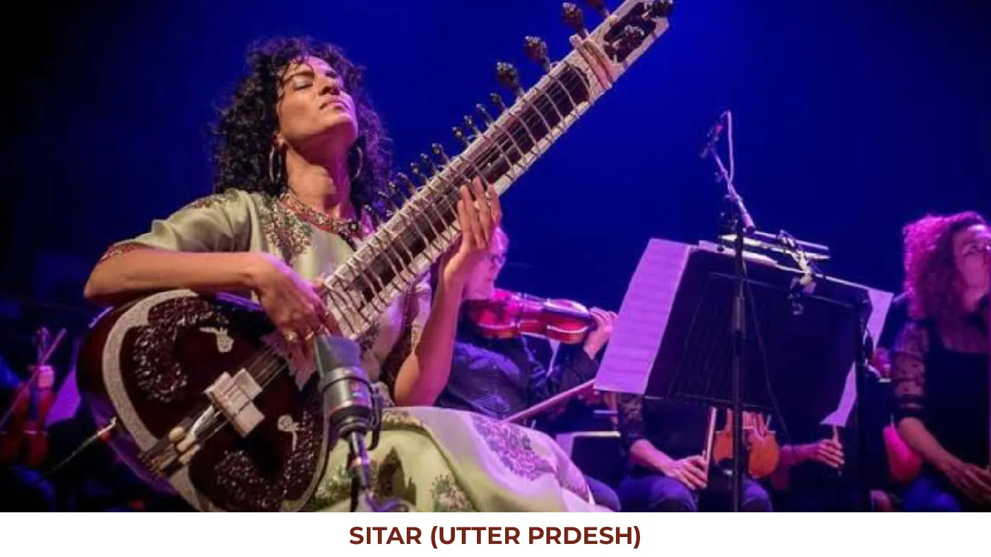 Indian Talent Live Band — photo 5