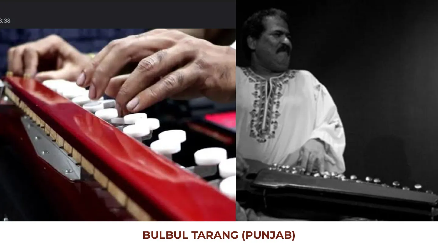 Indian Talent Live Band — photo 14