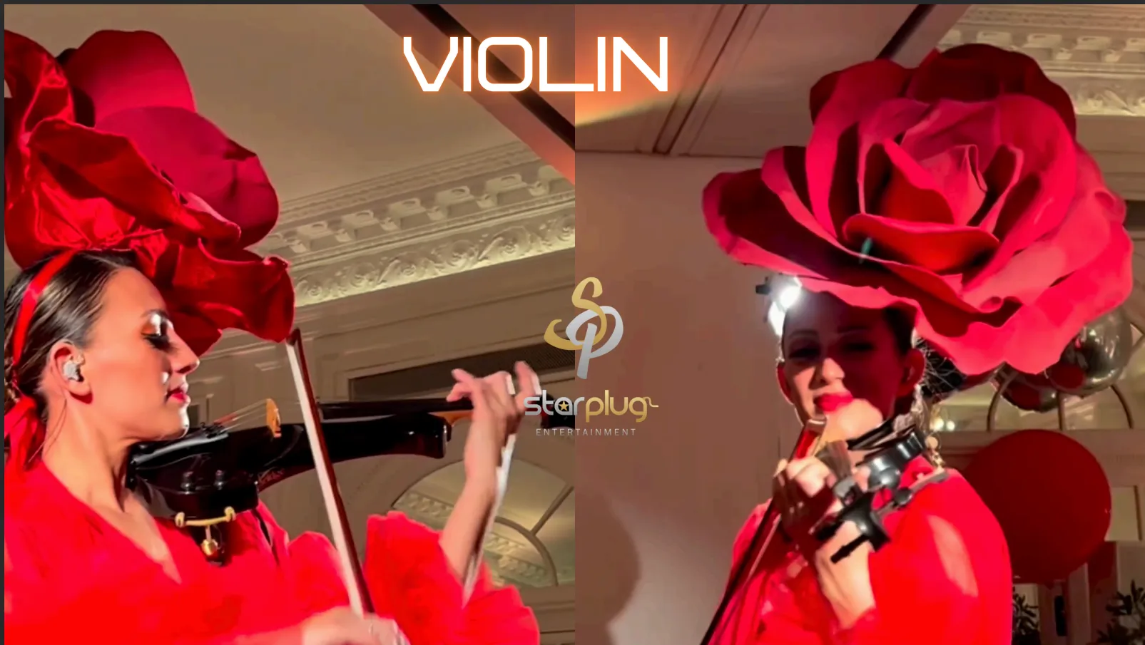 International Violin Player