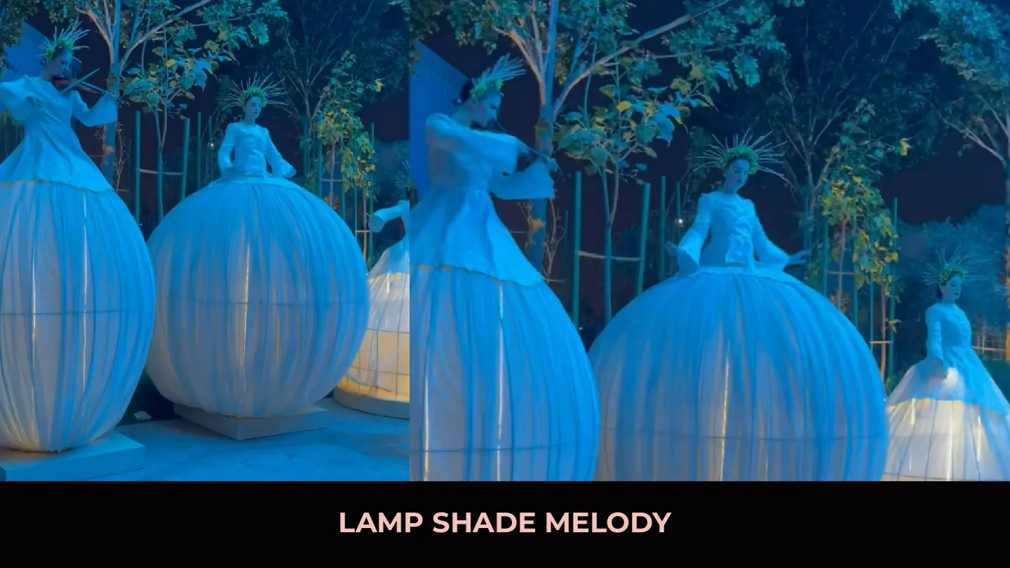 Sangeet LED Acts — photo 9