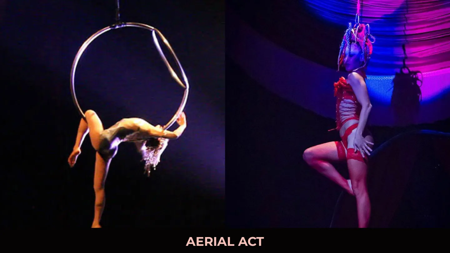 Sangeet LED Acts — photo 19